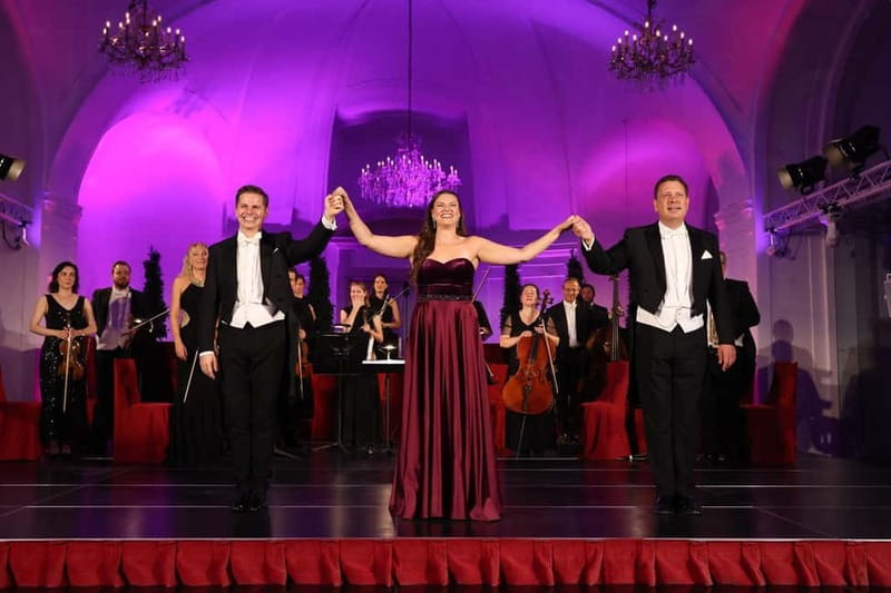 Vienna: Mozart and Strauss Concert at Schönbrunn - The Cost and Value of the Tickets