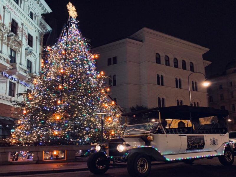 Vienna: Private Electric Car Sightseeing Tour - Practical Details: Meeting Point and Inclusions