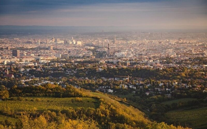 Vienna: Private Half-Day Sightseeing Tour with a Local - Who Will Enjoy This Tour Most?