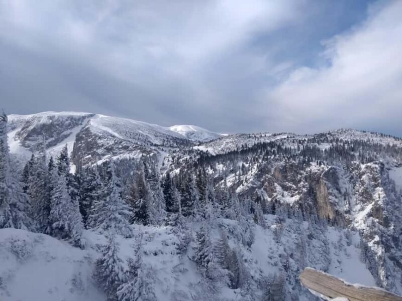 Vienna: Relaxed Alpine Snowshoe Experience Guide & Transfer - Key Points