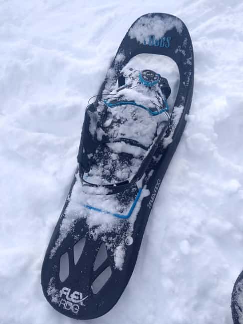 Vienna: Relaxed Alpine Snowshoe Experience Guide & Transfer - Return Cable Car and Scenic Descent