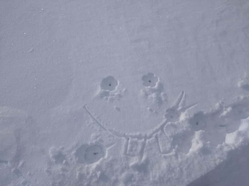 Vienna: Relaxed Alpine Snowshoe Experience Guide & Transfer - The Journey Back to Vienna