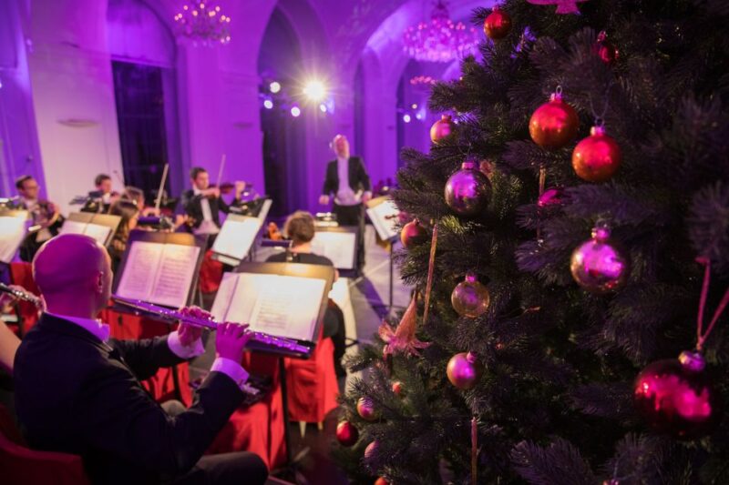 Vienna: Schönbrunn Christmas Market and Classical Concert - The Concert Venue: The Schönbrunn Orangery