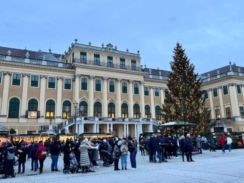 Vienna: Schönbrunn Palace & Christmas Market Walking Tour - Practical Tips for Enjoying the Tour