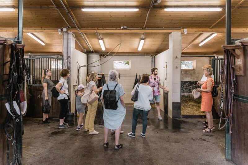 Vienna: Secrets of the Fiaker & Horse-Drawn Carriage Ride - Uncover Vienna’s Horse-Drawn Carriage Secrets for $37