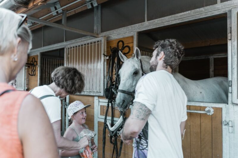 Vienna: Secrets of the Fiaker & Horse-Drawn Carriage Ride - The Route and Stops: What You’ll See