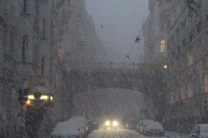 Vienna Secrets Walking Tour to Backyards and Mysterious Locations - Starting at Stephansplatz: The Heart of Vienna