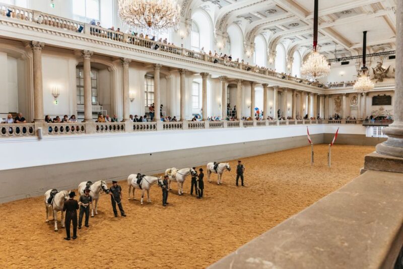 Vienna: Spanish Riding School Training - Key Points