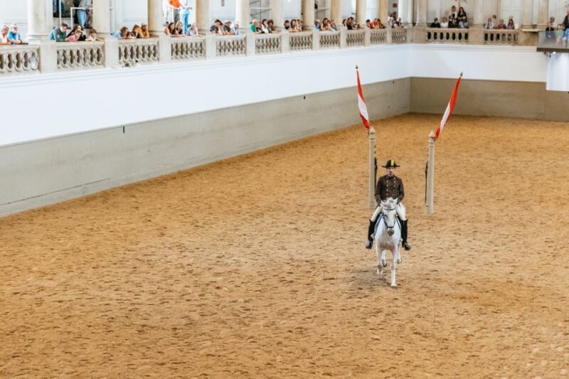 Vienna: Spanish Riding School Training - Comparing with Full Shows and Other Tours
