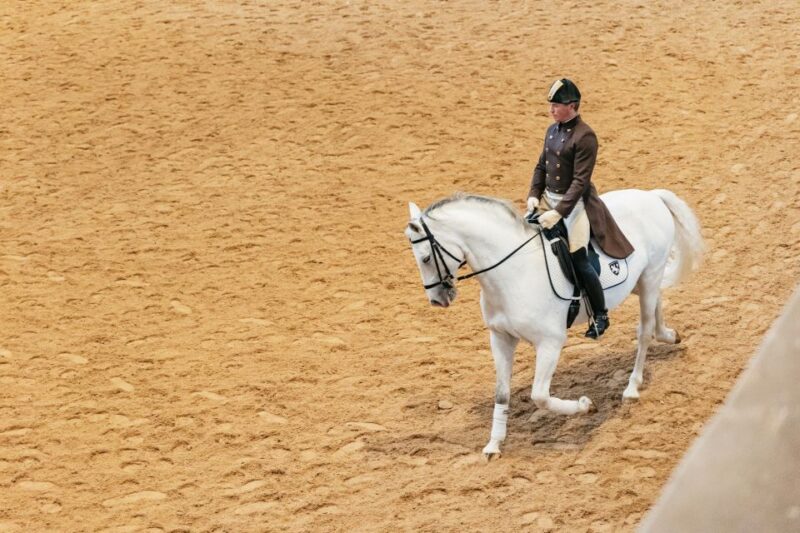 Vienna: Spanish Riding School Training - Final Thoughts on the Spanish Riding School Training