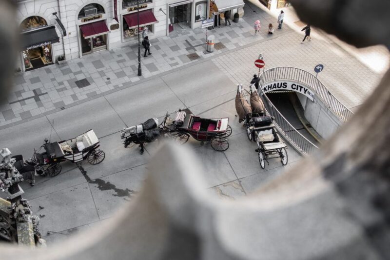 Vienna: St. Stephan's Cathedral Guided Tour - The Secret Rooftop Viewpoint