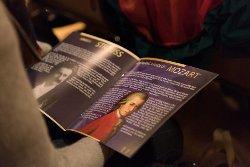 Vienna Supreme Orchestra at Palais Niederösterreich - Experience a Magical 1.5-Hour Classical Concert in Vienna’s Palais Niederösterreich