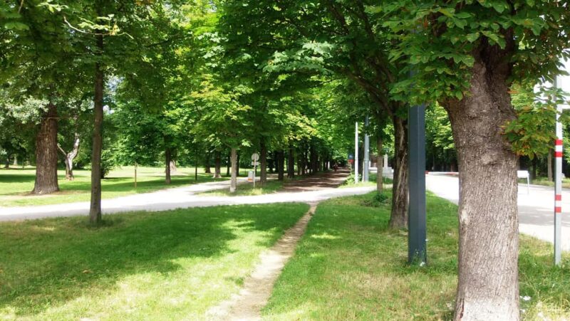 Vienna: Tours of the Strauss Waltzes, historical walks - Visiting Strauss’s Apartment and the Danube Waltz