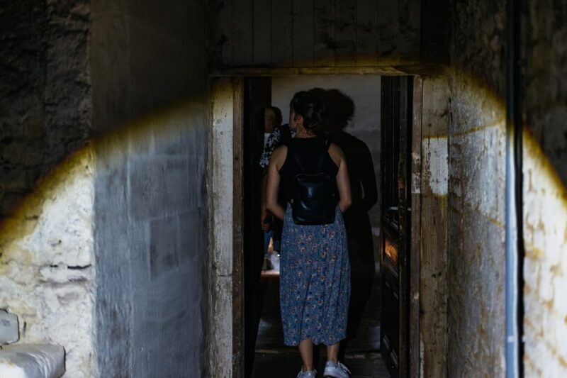 Vienna: Viennese Underworld Guided Walking Tour - Insights from Positive Reviews