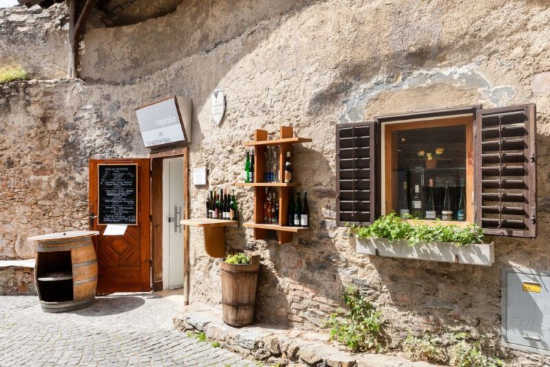 Vienna: Wachau, Melk Abbey, and Danube Valleys Tour - Practical Tips and Accessibility