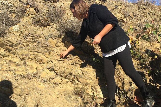 Vienna Wine Experience - Key Points