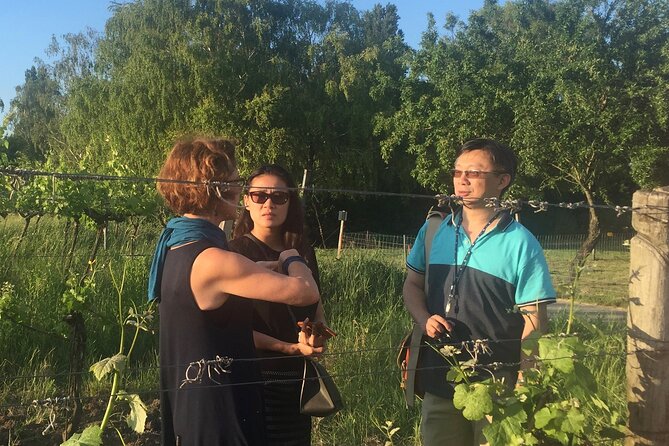 Vienna Wine Experience - Visit to a Local Winery and Tasting of Austrian Wines