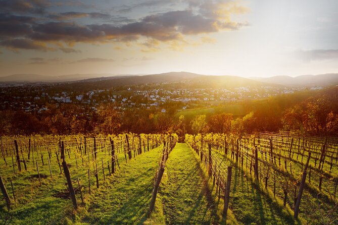 Vienna Wine Experience - Focus on Native Austrian Grape Varieties
