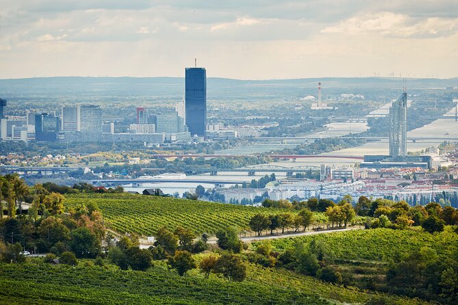 Vienna Wine Experience - Practical Details: Logistics and Accessibility