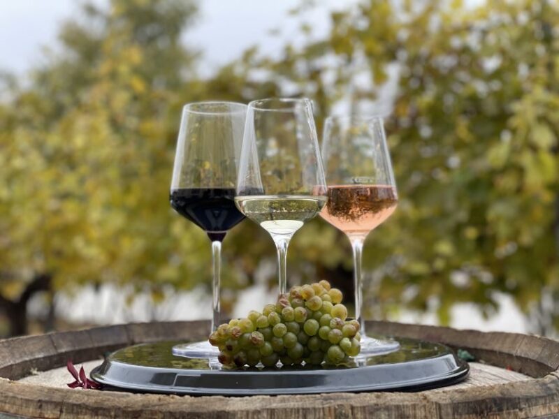 Vienna: Wine Tasting at Schönbrunn Palace - Discover Vienna’s Unique Wine Tasting at Schönbrunn Palace