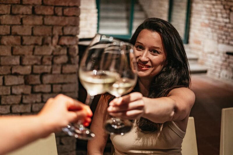 Vienna: Wine Tasting Experience in a Private Wine Cellar - The Logistics: Meeting Points and Group Sizes