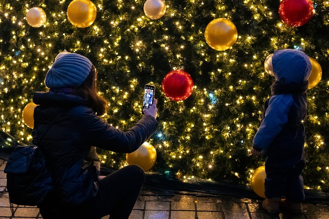 Vienna's Christmas Market Magic Tour - Discover Vienna’s Christmas Market Magic with a Local Guide