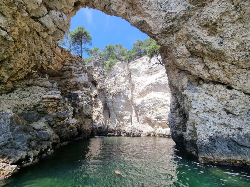 Vieste: South coast boat excursion with swim stop - Who Will Love This Tour?