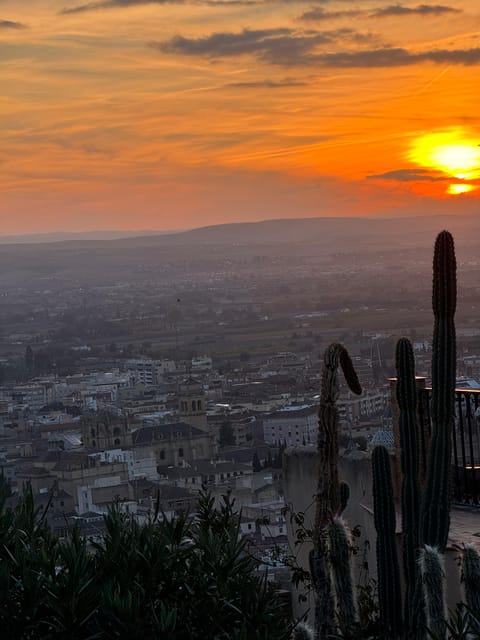 Viewpoints in the Albaicín - What’s Included and What to Keep in Mind