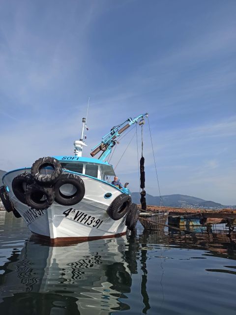 Vigo: Bay of San Simón Mussel Farming Tour - Practical Details: Meeting Points, Duration, and Group Size