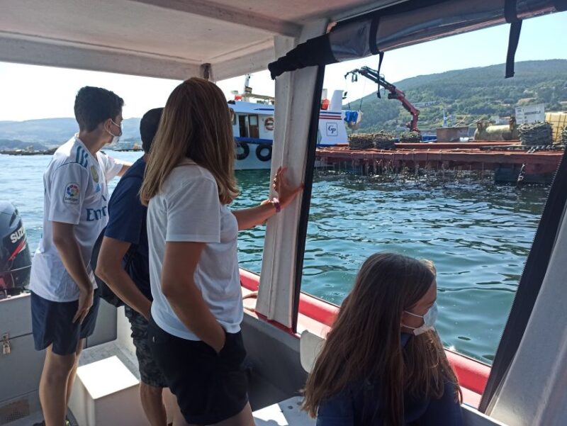 Vigo: Bay of San Simón Mussel Farming Tour - Language Options and Guide Expertise