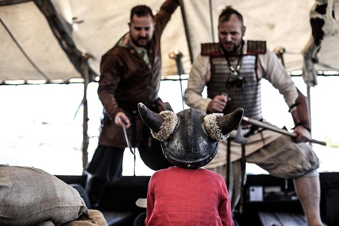 Viking Cruise Whales and Dolphins Watching - Who Will Enjoy This Viking Whale Watching Trip?