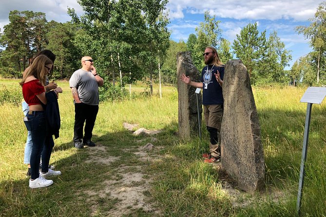 Viking History Small Group Tour from Stockholm: Half Day Including Sigtuna - Key Points