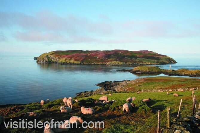 Viking Tour of the Isle of Man - Half Day - Private Tour - Scenic Drive to the Calf of Man and Viking Archaeology