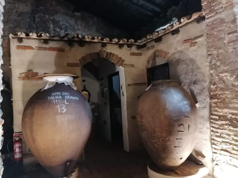 Vila de Frades: Talha Wine Tour with Tastings - Highlights of the Vila de Frades Talha Wine Tour