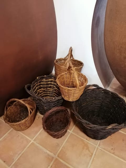 Vila de Frades: Talha Wine Tour with Tastings - Visiting Traditional Wineries and Exploring Talha Wine Production