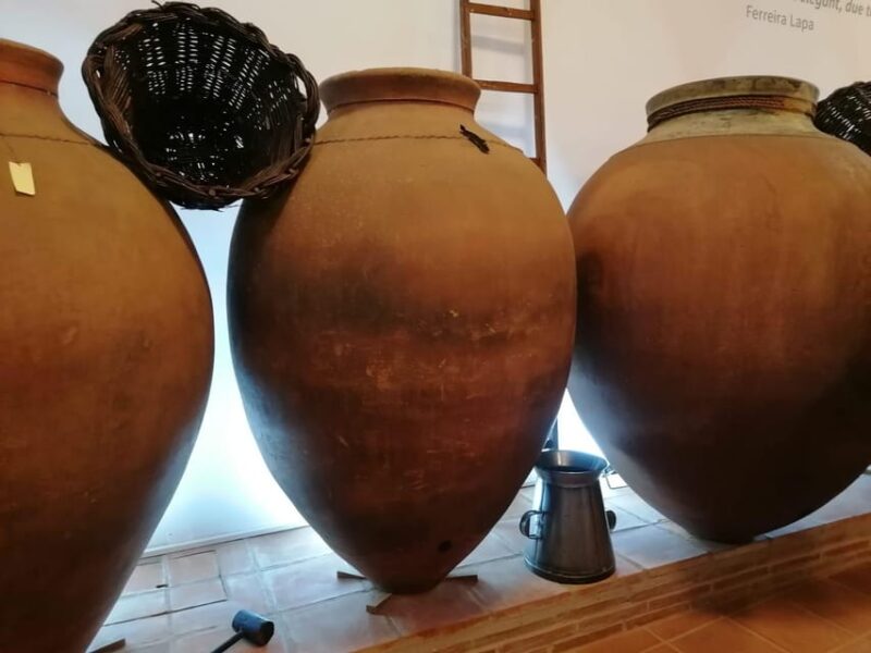 Vila de Frades: Talha Wine Tour with Tastings - Balancing Education and Relaxation During the 9-Hour Tour