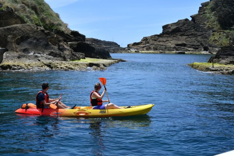 Vila Franca do Campo: Kayak Rental - Reviews Highlight the Quality of the Experience