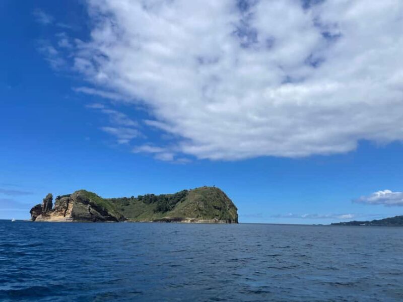 Vila Franca do Campo: Marine Life & Bird Watching & Islet Tour - A Closer Look at Vila Franca do Campo Islet