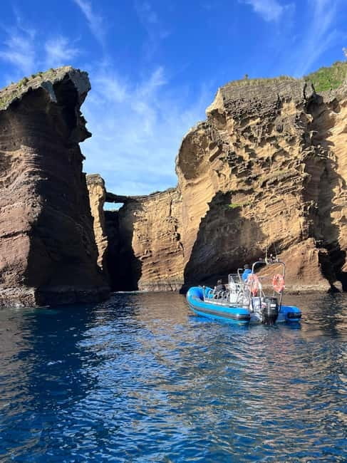 Vila Franca do Campo: Marine Life & Bird Watching & Islet Tour - Final Thoughts on the Vila Franca do Campo Marine & Bird Watching Tour