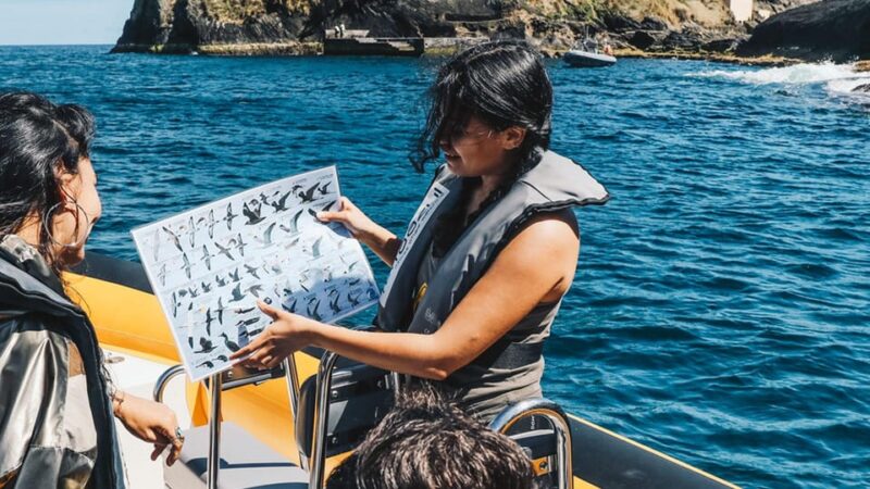 Vila Franca Islet: Biologist Guided Eco Boat Tour - The Safety Briefing and Boat Boarding Experience