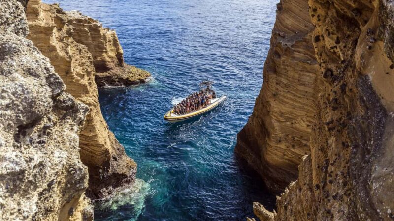 Vila Franca Islet: Biologist Guided Eco Boat Tour - Why This Tour Stands Out Among Azores Boat Experiences