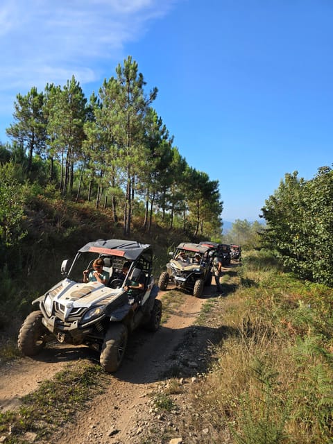 Vila Nova Cerveira: Buggy rides through the cerveira mountains - Key Points