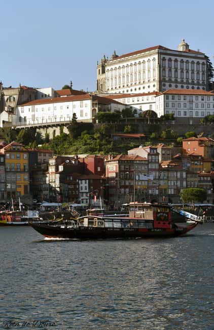 Vila Nova de Gaia: Bridges Cruise - Experience the Bridges of Porto from a Unique Perspective