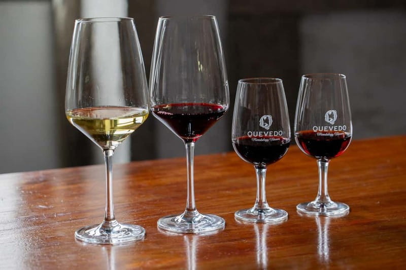 Vila Nova de Gaia: Port Wine Gourmet Pairing Experience - Practical Details and Booking Flexibility