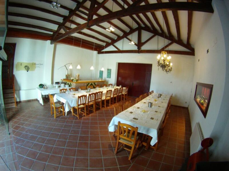 Vilafranca del Penedès: Winery Visit with Tastings - Visiting Bodega J. Miquel Jané: The Family-Run Charm