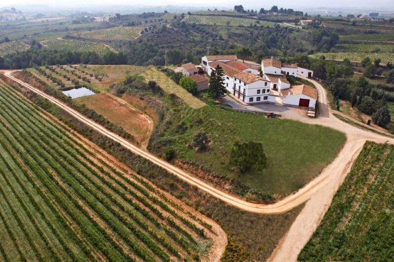 Vilafranca del Penedès: Winery Visit with Tastings - The Tour Route: From Vineyards to Cellars