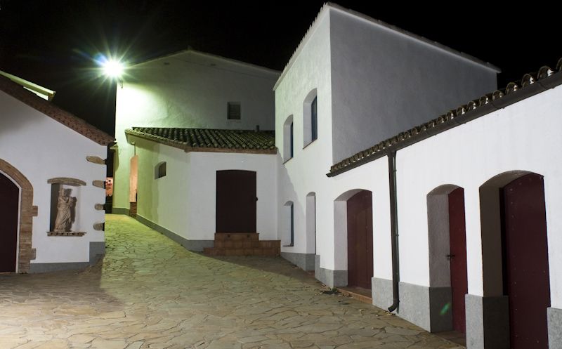 Vilafranca del Penedès: Winery Visit with Tastings - Logistics and Accessibility Details