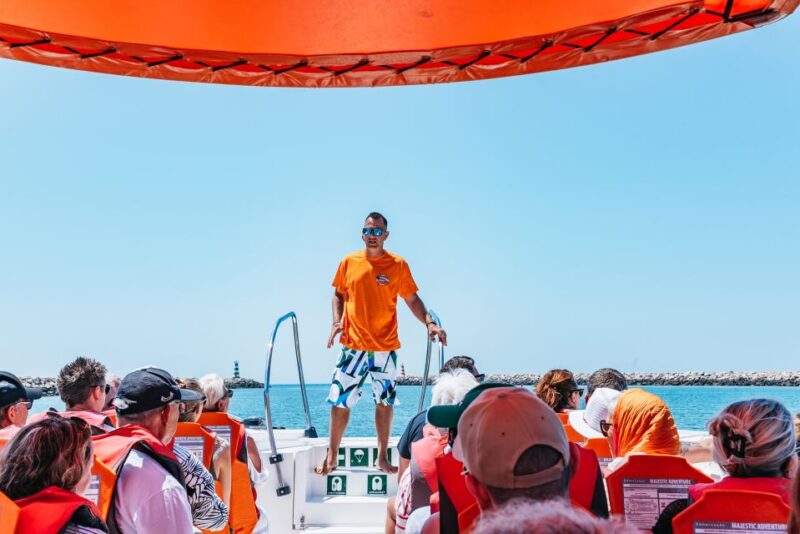 Vilamoura: Benagil Cave Boat Tour with Entry&Dolphin search - The Experience on Board: Comfort and Engagement