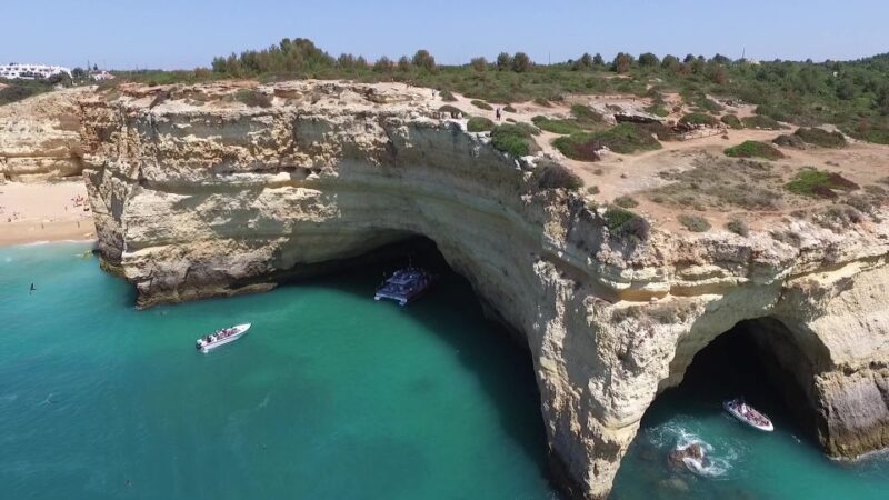 Vilamoura: Benagil Cave Guided Catamaran Cruise & Drink - Spotting Dolphins and Local Wildlife