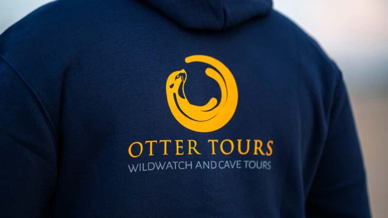 Vilamoura: Benagil Caves and Coastline Boat Tour - Discovering the Benagil Caves and their Unique Rock Formations